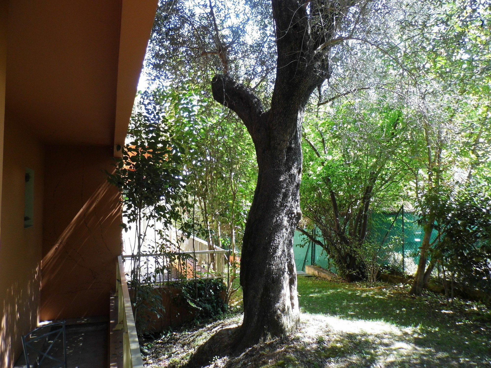 Anis Hotel Νίκαια Εξωτερικό φωτογραφία